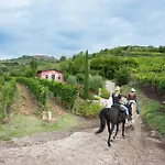 Casa Costa Relais Bed and Breakfast