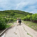 Bed and Breakfast Casa Costa Relais Monteforte dʼAlpone