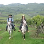 Bed and Breakfast Casa Costa Relais 3*