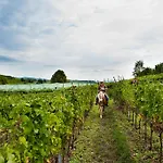 Bed and Breakfast Casa Costa Relais Monteforte dʼAlpone