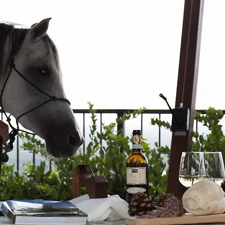 Casa Costa Relais Monteforte dʼAlpone