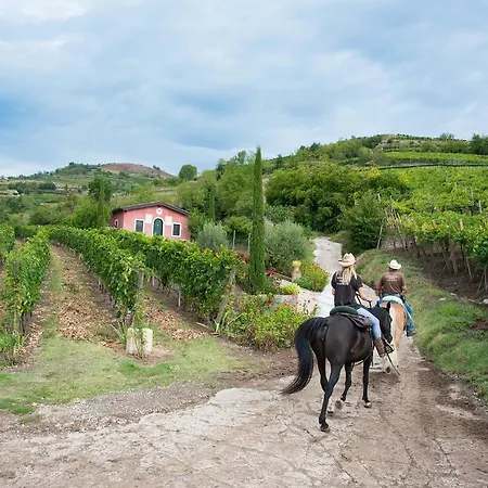 Casa Costa Relais Couette-café