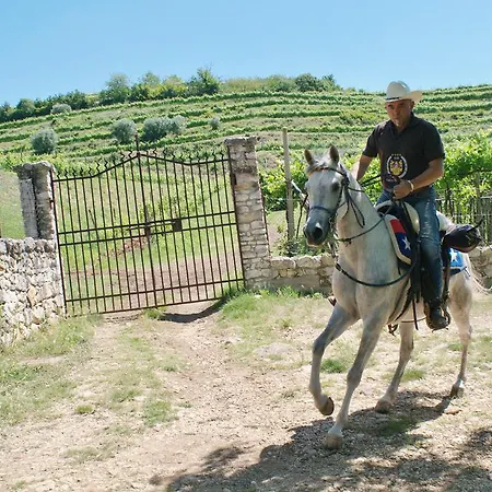 Casa Costa Relais Bed & Breakfast Monteforte d'Alpone