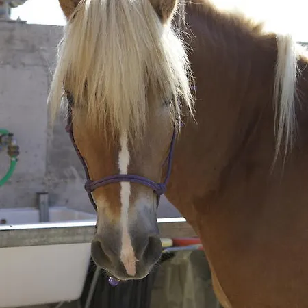 Casa Costa Relais Monteforte dʼAlpone