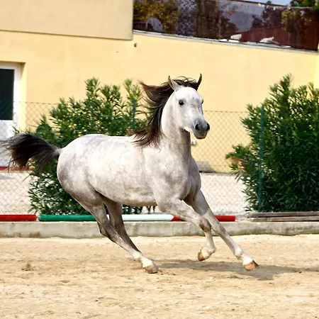 Couette-café Casa Costa Relais 3*