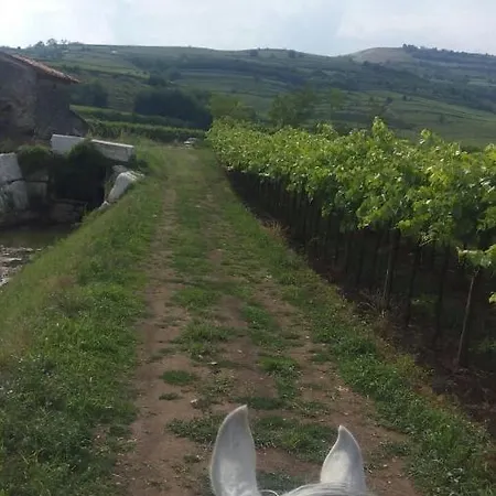 Casa Costa Relais Couette-café Monteforte dʼAlpone