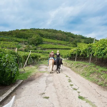 住宿加早餐酒店 Casa Costa Relais Monteforte dʼAlpone