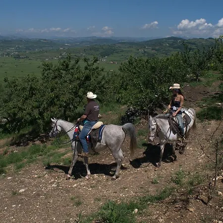 Oda ve Kahvaltı Casa Costa Relais