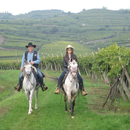 فندق مبيت وإفطار Casa Costa Relais 3*