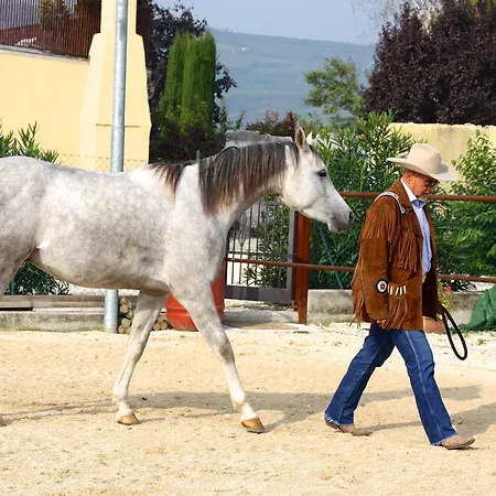 Casa Costa Relais Monteforte dʼAlpone