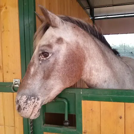 فندق مبيت وإفطار Casa Costa Relais Monteforte dʼAlpone