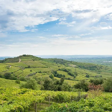 Casa Costa Relais Oda ve Kahvaltı