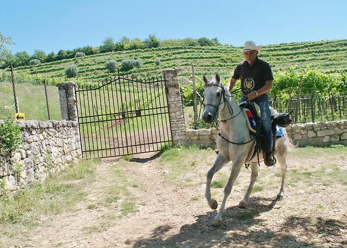Casa Costa Relais ベッド・アンド・ブレックファスト Monteforte dʼAlpone