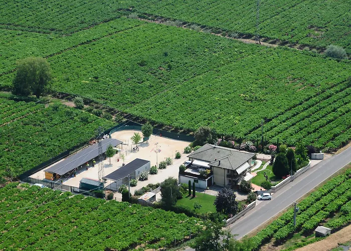 ベッド・アンド・ブレックファスト Casa Costa Relais Monteforte dʼAlpone