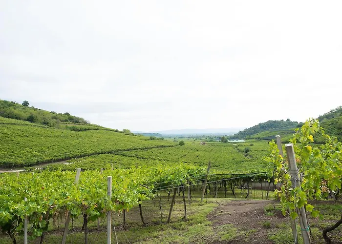 Casa Costa Relais 3* Monteforte dʼAlpone